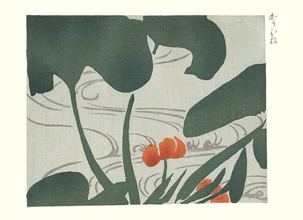 photo44.jpg