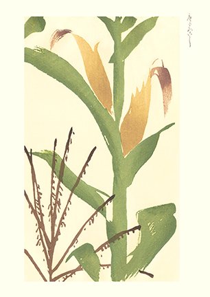 photo57.jpg