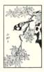 photo12_small.jpg