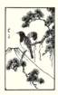 photo15_small.jpg