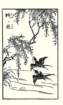 photo16_small.jpg