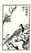 photo18_small.jpg