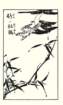 photo19_small.jpg