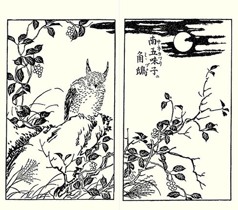 photo20.jpg