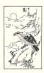 photo21_small.jpg