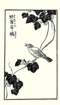 photo23_small.jpg
