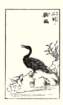 photo25_small.jpg