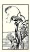 photo3_small.jpg
