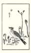 photo6_small.jpg