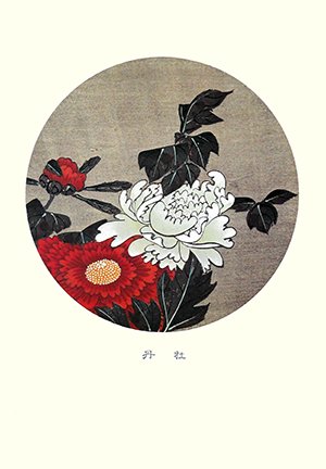 photo26.jpg