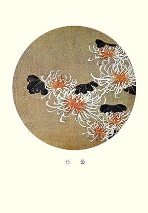 photo81.jpg