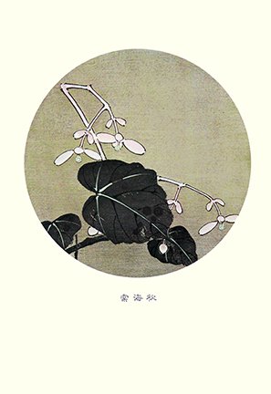 photo92.jpg