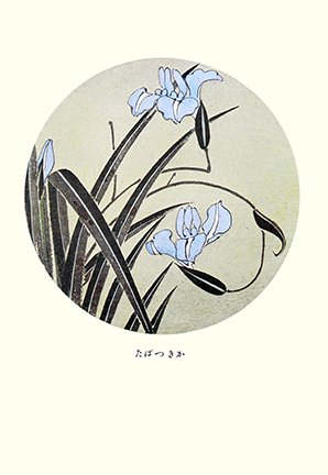 photo11.jpg