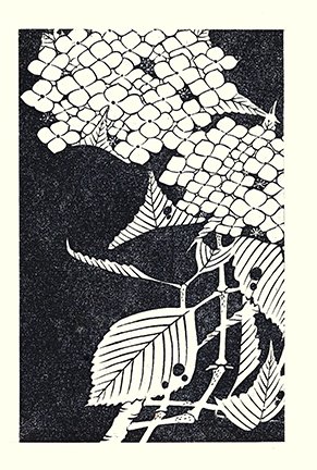 photo21.jpg
