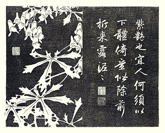 photo16.jpg