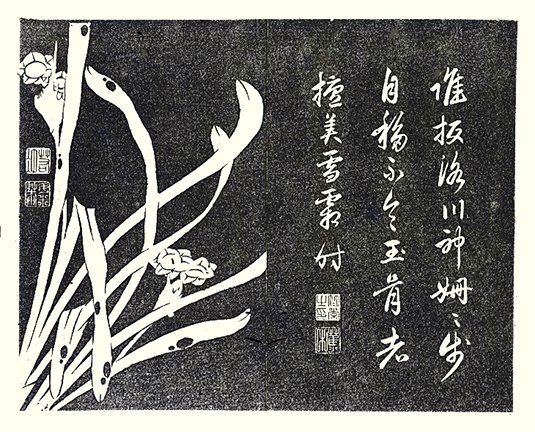 photo32.jpg