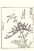 photo10_small.jpg