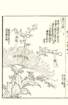 photo12_small.jpg