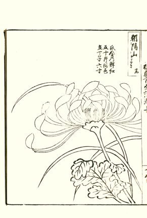 photo13.jpg