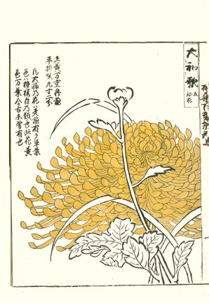 photo2.jpg