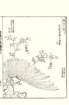 photo20_small.jpg