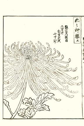 photo25.jpg