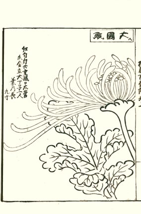 photo28.jpg