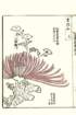 photo31_small.jpg