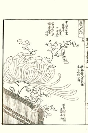 photo36.jpg