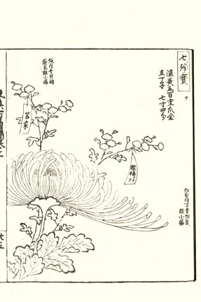 photo38.jpg