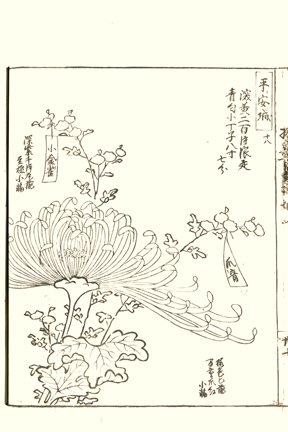 photo42.jpg