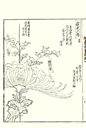 photo53.jpg