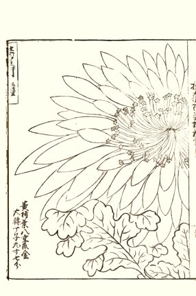 photo60.jpg