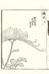 photo63_small.jpg