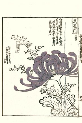 photo71.jpg