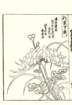 photo75_small.jpg