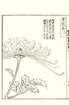 photo7_small.jpg