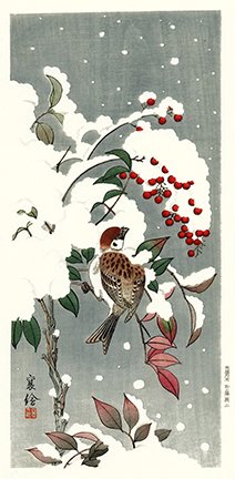 photo6.jpg