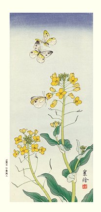 photo9.jpg