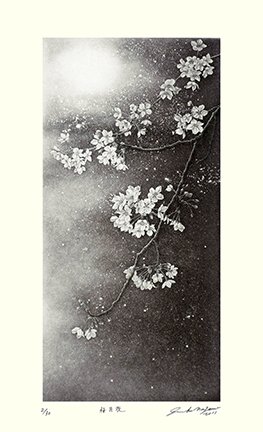 photo2.jpg