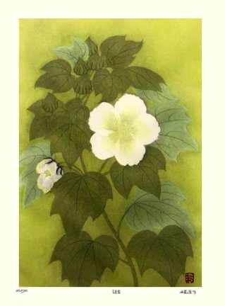 photo37.jpg