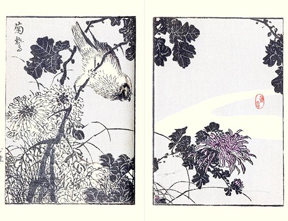 photo10.jpg
