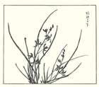photo10_small.jpg