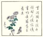 photo11_small.jpg