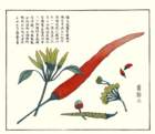 photo18_small.jpg