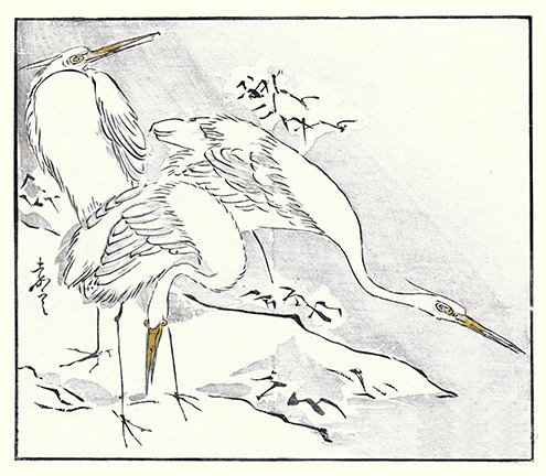 photo6.jpg