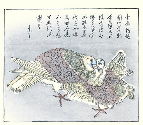 photo7.jpg