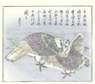 photo7_small.jpg