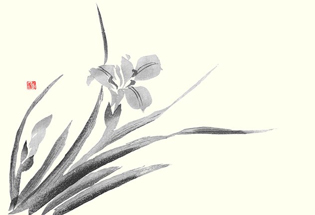 photo18.jpg