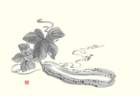 photo21_small.jpg